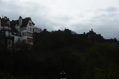 DSC_7325 (Large).JPG